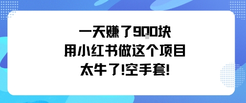 一天挣了9张用小红书做这个项目太牛了，空手套-小鹏项目网