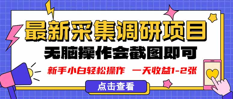 新版采集调研项目，截图上传即可，无脑操作，日收益1-2张-小鹏项目网