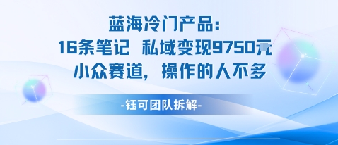 蓝海项目：16条笔记私域变现9750米小众赛道操作的人不多-小鹏项目网