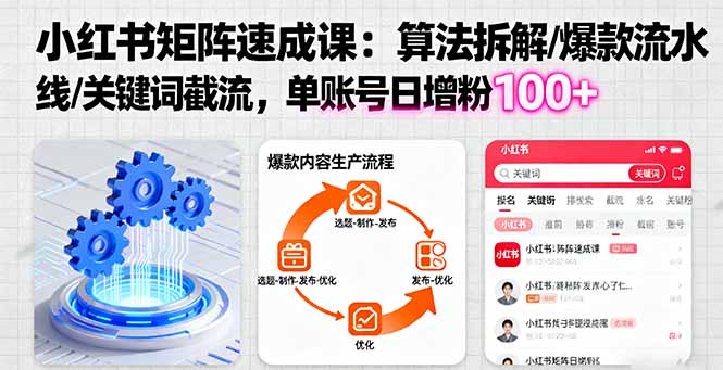 小红书矩阵起号速成课：算法拆解/爆款流水线/关键词截流 单账号日增粉100+-小鹏项目网