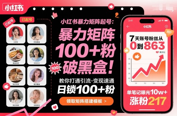 小红书暴力矩阵起号，教你打通引流-变现速通，日锁100+粉，破流量黑盒-小鹏项目网