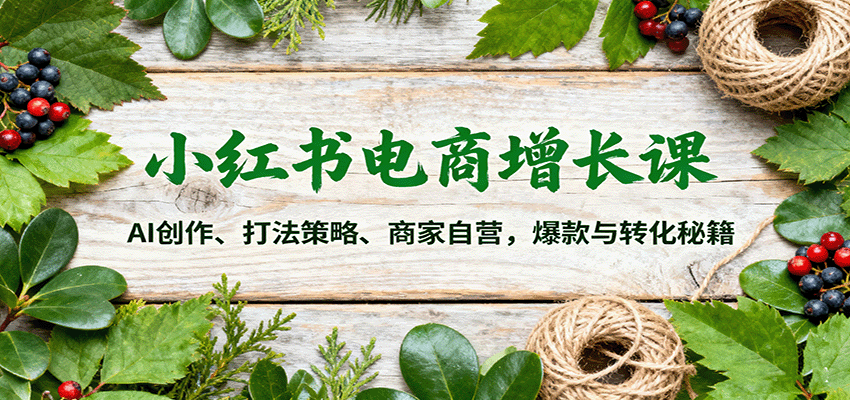 小红书电商增长课：AI创作、打法策略、商家自营，爆款与转化秘籍-小鹏项目网