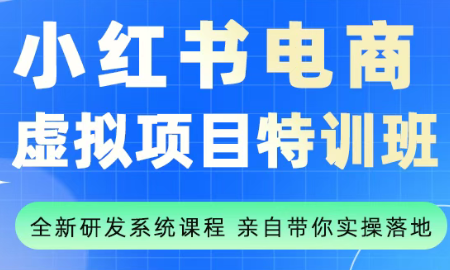 陆明明·小红书虚拟项目特训班(更新9月)-小鹏项目网
