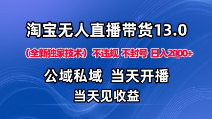 淘宝无人直播13.0，公域私域技术，不封号，不违规布局下半年旺季赛道，日入1K+(独家技术)【揭秘】-小鹏项目网