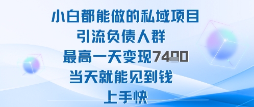 2025年小白都能做的私域项目引流负债人群最高一天变现1k+高变现难度低当天就能见到钱上手快-小鹏项目网