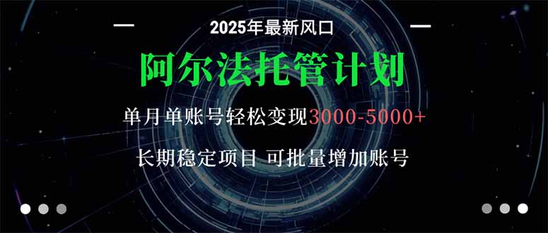 阿尔法托管计划 单账号月入3000-5000，长期稳定项目，新手小白轻松上手。-小鹏项目网