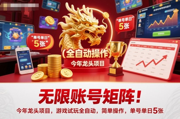 无限账号矩阵！今年龙头项目，游戏试玩全自动，简单操作，单号单日5张【揭秘】-小鹏项目网