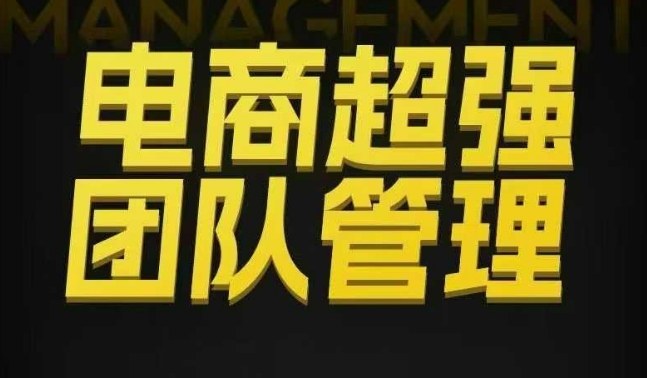 电商超强团队管理，组织绩效，到用人执行，分权合伙-小鹏项目网