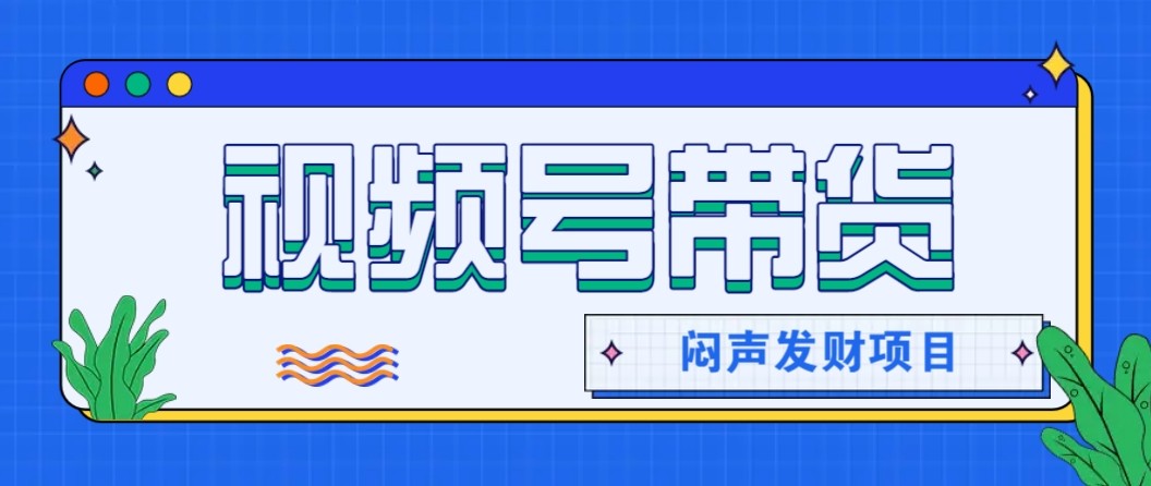 微信视频号带货项目，轻松日赚赚2000+，这个挣钱入口很多伙伴都在闷声发财-小鹏项目网