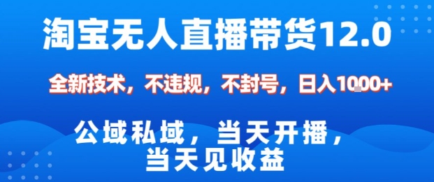淘宝无人直播12.0，公域私域技术，不封号，不违规布局双十一流量风口，日入1k(独家技术)【揭秘】-小鹏项目网