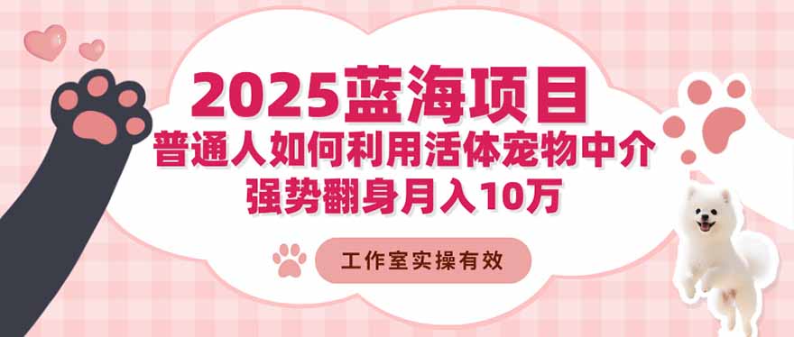 2025蓝海项目：普通人如何利用活体宠物中介，强势翻身月入10万-小鹏项目网