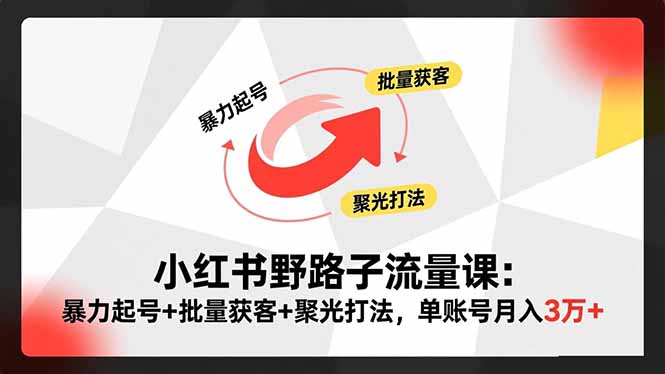 小红书野路子流量课：暴力起号+批量获客+聚光打法，单账号月入3万+-小鹏项目网