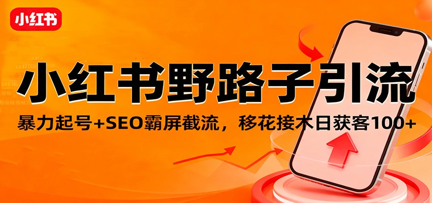 小红书野路子引流，暴力起号+SEO霸屏截流，移花接木日获客100+-小鹏项目网