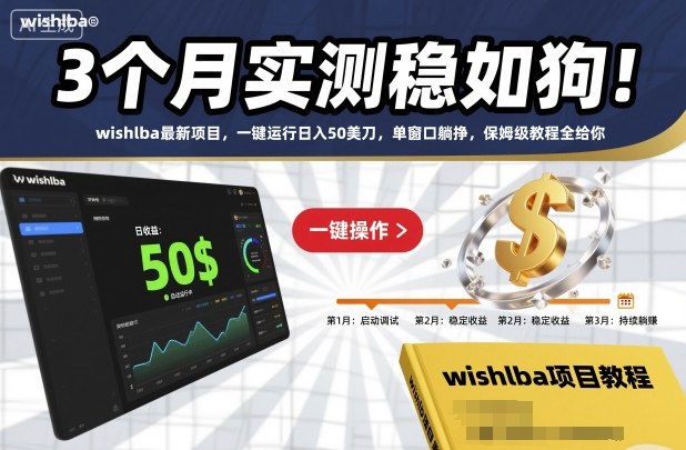 3个月实测稳如狗！wishlba最新项目，一键运行日入50美刀，单窗口躺挣，保姆级教程全给你【揭秘】-小鹏项目网