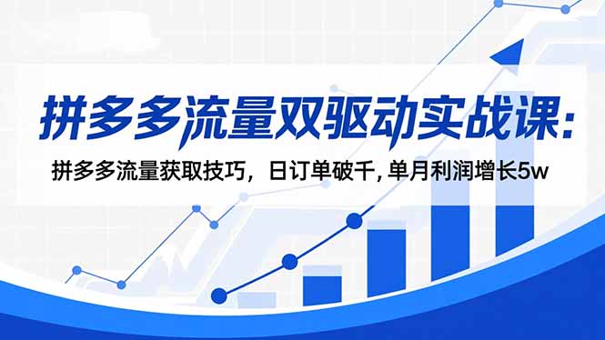 拼多多流量双驱动实战课：拼多多流量获取技巧，日订单破千,单月利润增长5w-小鹏项目网