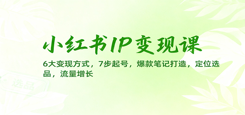 小红书IP变现课：6大变现方式，7步起号，爆款笔记打造，定位选品，流量增长-小鹏项目网