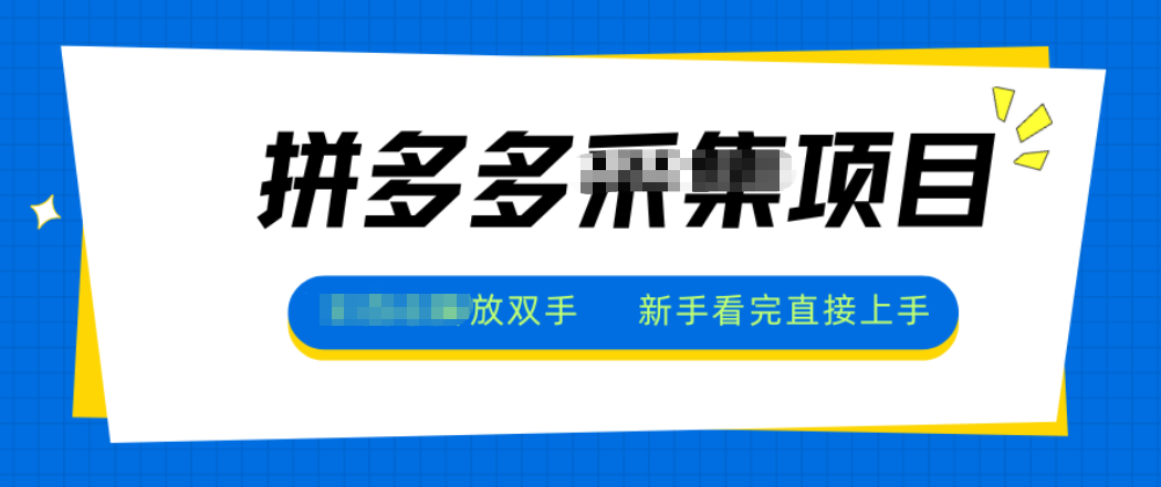 拼多多电商采集，一小时50+，操作简单，零投资-小鹏项目网