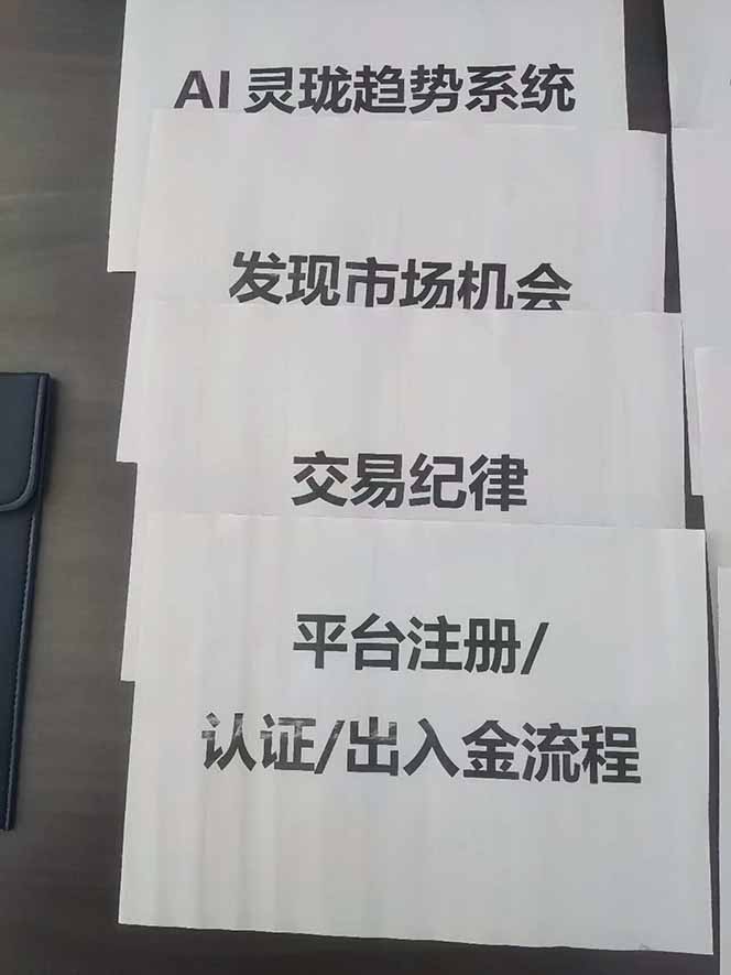 图片[3]-海外美金AI掘金项目，200U可入门槛，一天一单即可，每天1000-2000很轻松！-小鹏项目网