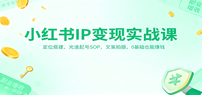 小红书IP变现实战课：定位搭建，光速起号SOP，文案拍摄，0基础也能赚钱-小鹏项目网