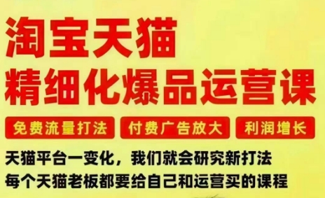 淘宝天猫精细化爆品运营课，免费流量打法-付费广告放大-利润增长-三大核心痛点，一次全部解决-小鹏项目网