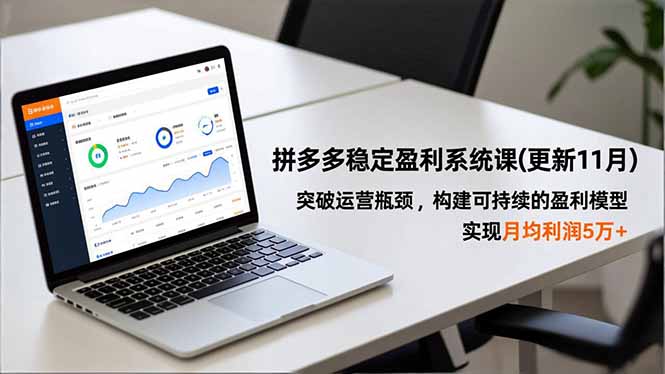 拼多多稳定盈利系统课(更新11月-小鹏项目网