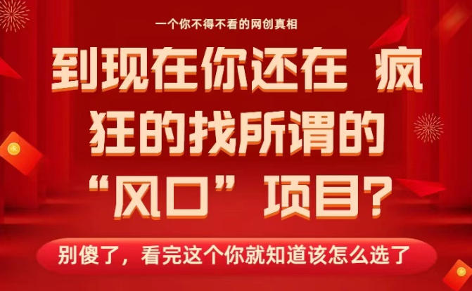 马上26年了，你还在找所谓的风口项目？别傻了，看完这个你全都懂了！【揭秘】-小鹏项目网