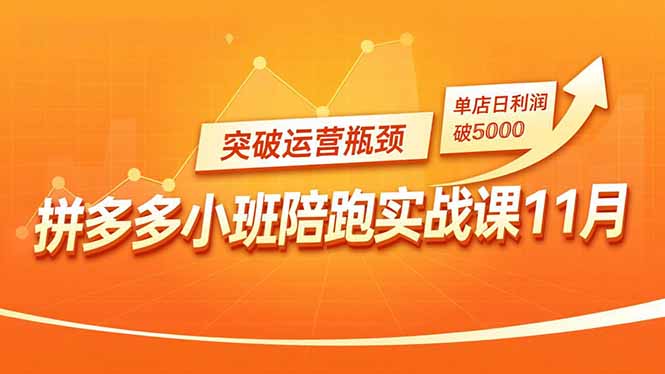 拼多多小班陪跑实战课11月，强付费矩阵、原价活动、暗券引流，突破运营瓶颈，单店日利润破5000-小鹏项目网