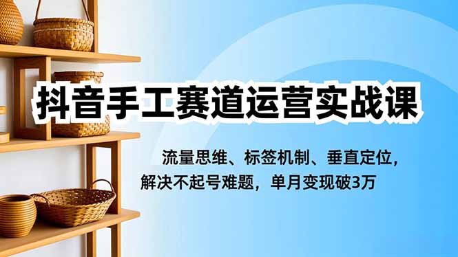 抖音手工赛道运营实战课，流量思维、标签机制、垂直定位，解决不起号难题，单月变现破3万-小鹏项目网