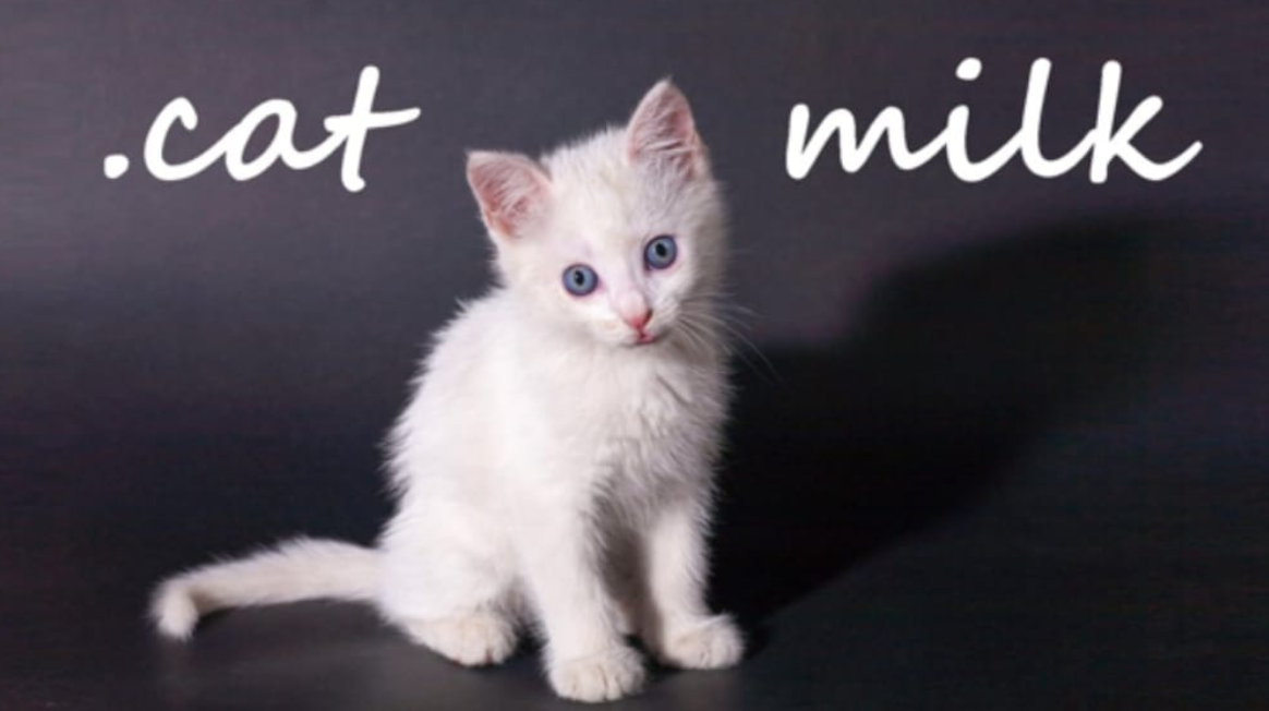 《小奶猫 .cat Milk》Switch英文版NSP下载-小鹏项目网
