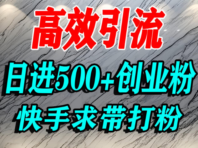 怎么打创业粉？快手求带视角精准引流创业粉，宝妈、学生群体日进500+精准流量-小鹏项目网