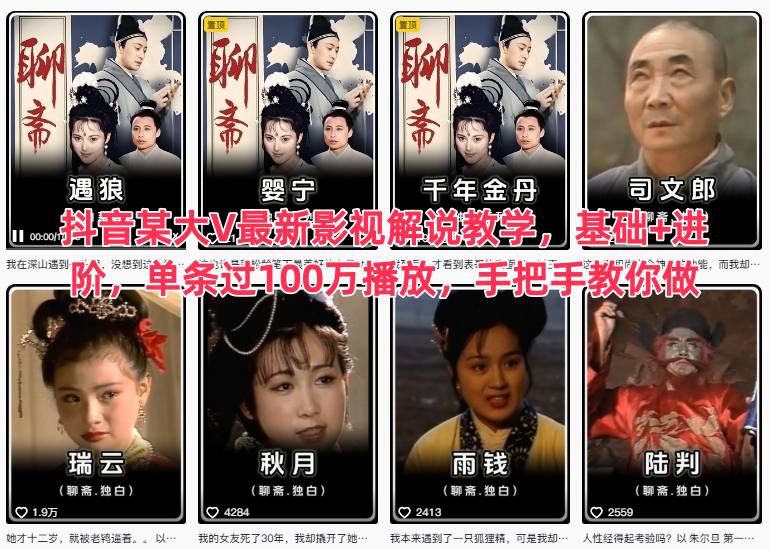 抖音某大V最新影视解说教学，基础+进阶，单条过100万播放，手把手教你做-小鹏项目网
