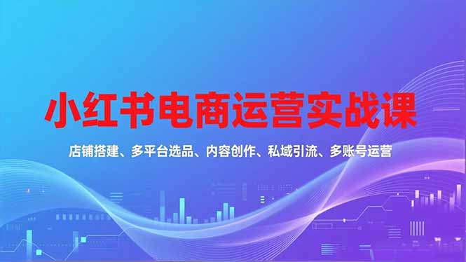 小红书电商运营实战课，店铺搭建、多平台选品、内容创作、私域引流、多账号运营等玩法-小鹏项目网