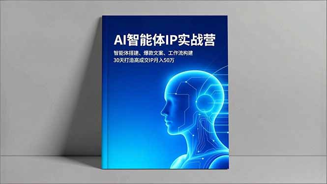 AI智能体IP实战营，智能体搭建、爆款文案、工作流构建，30天打造高成交IP月入50万-小鹏项目网