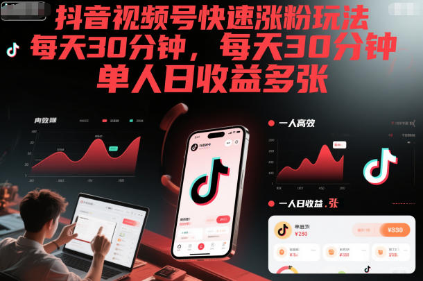 抖音视频号快速涨粉玩法，每天30分钟，单人日收益多张-小鹏项目网