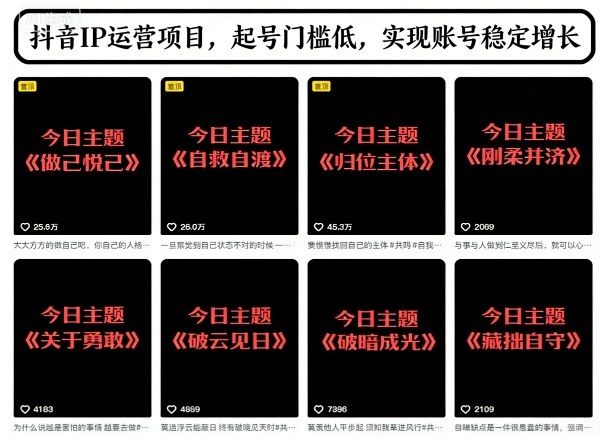 抖音IP运营项目，抖音今日主题玩法，起号门槛低，实现账号稳定增长-小鹏项目网
