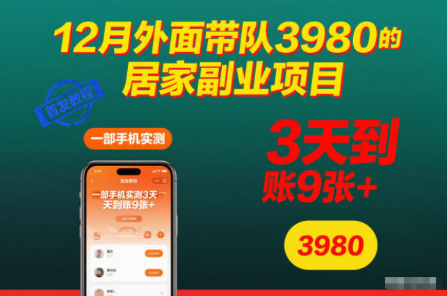 12月外面带队3980的居家副业项目，一部手机实测3天到账9张+，首发教程【揭秘】-小鹏项目网