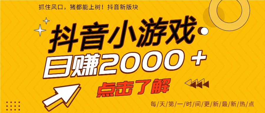 5年爆火的抖音小游戏项目，一部手机日入2000+-小鹏项目网