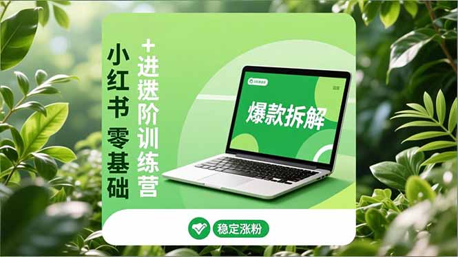 小红书零基础+高阶训练营：安全养号、爆款拆解、长效运营，实现稳定涨粉与变现-小鹏项目网