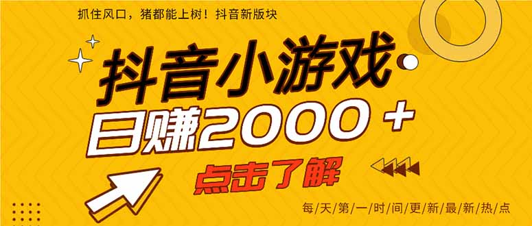 2025年爆火的抖音小游戏项目，一部手机日入2000+-小鹏项目网