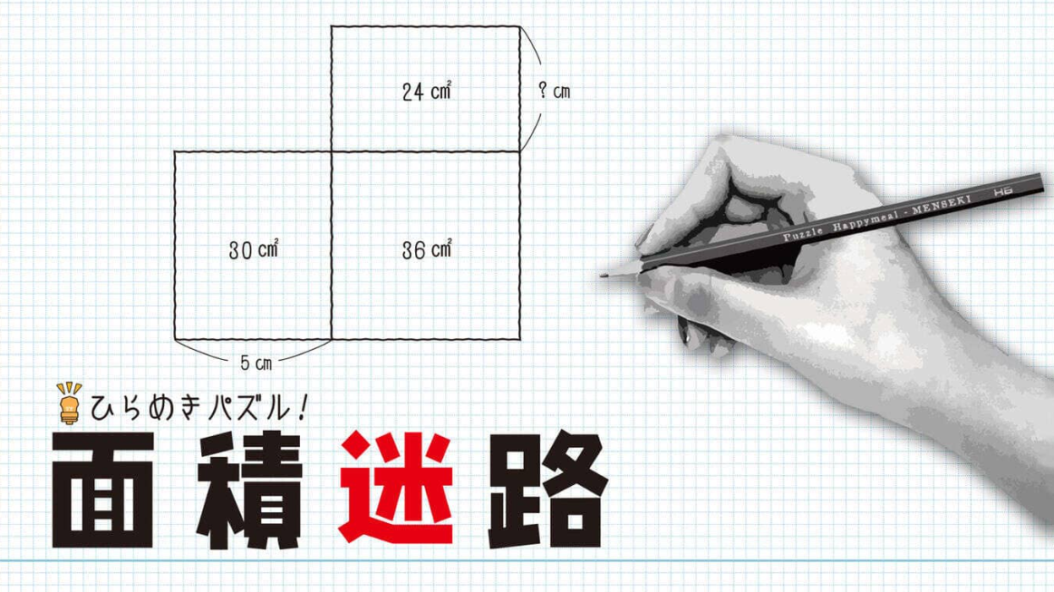 《闪烁的拼图 面积迷宫 MENSEKI Area maze puzzles》Switch英日文版NSZ下载-小鹏项目网