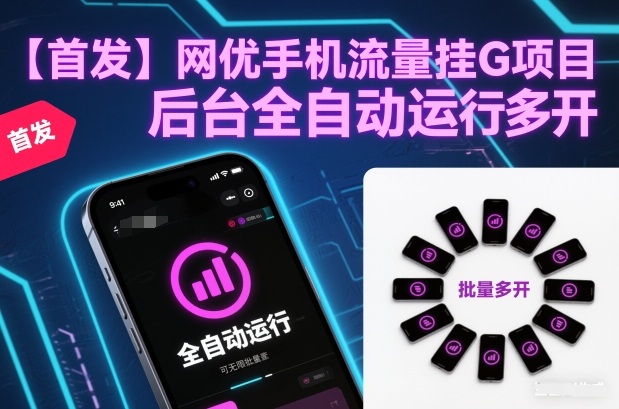 【首发】网优手机流量挂G项目，后台全自动运行，可无限批量多开【揭秘】-小鹏项目网
