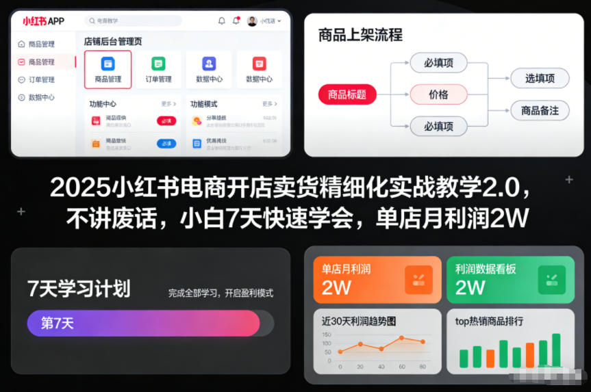 2025小红书电商开店卖货精细化实战教学2.0，不讲废话，小白7天快速学会，单店月利润2W-小鹏项目网