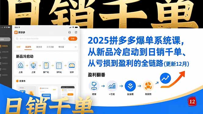 2025拼多多爆单系统课，从新品冷启动到日销千单、从亏损到盈利的全链路(更新12月-小鹏项目网
