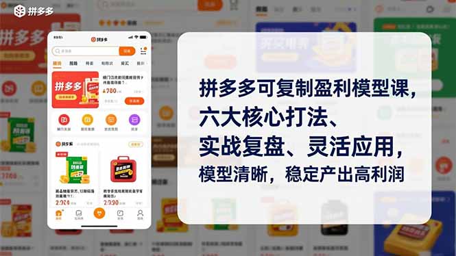 拼多多可复制盈利模型课，六大核心打法、实战复盘、灵活应用，模型清晰，稳定产出高利润-小鹏项目网