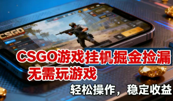 CSGO游戏挂G掘金捡漏，不需要玩游戏，操作简单，收益稳定【揭秘】-小鹏项目网