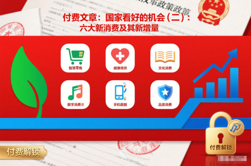 付费文章：国家看好的机会(二)：六大新消费及其新增量-小鹏项目网