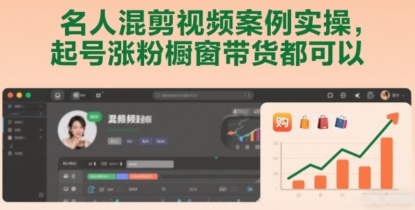 名人混剪视频案例实操，起号涨粉橱窗带货都可以-小鹏项目网