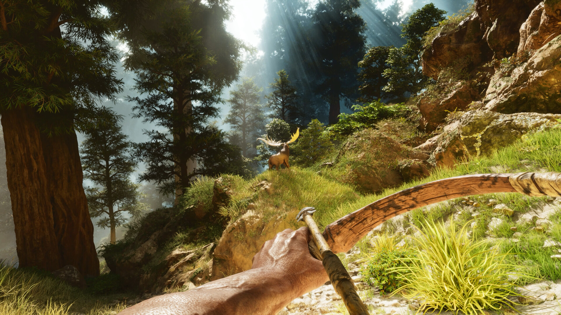 PC游戏《方舟: 生存飞升/ARK: Survival Ascended》中文v77.54下载-小鹏项目网