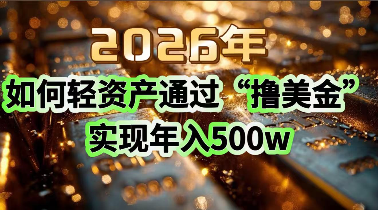 2026年如何轻资产通过“撸美金”实现年入500w-小鹏项目网