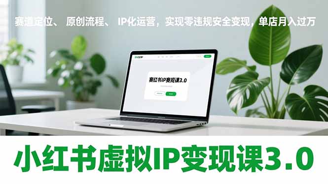 小红书虚拟IP变现课3.0，赛道定位、原创流程、IP化运营，实现零违规安全变现，单店月入过万-小鹏项目网